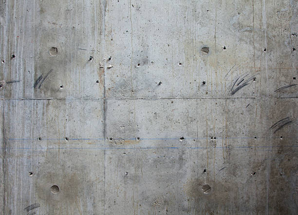 Best Stamped Concrete Services in Wolf Point, MT